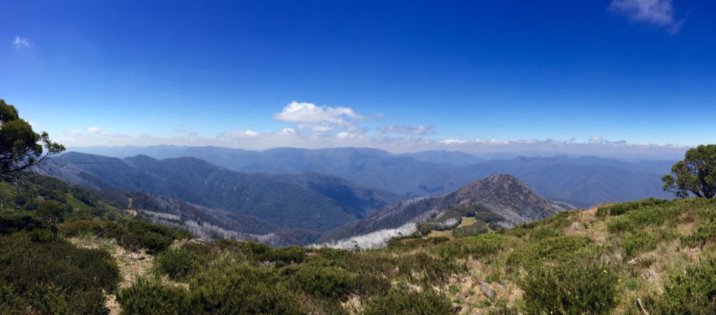 Mt. Buller: Wir waren auf dem Summit Nature Walk unterwegs.