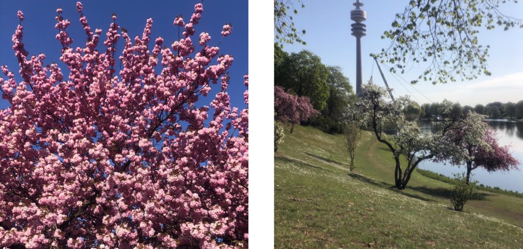 District Race App Olympiapark München