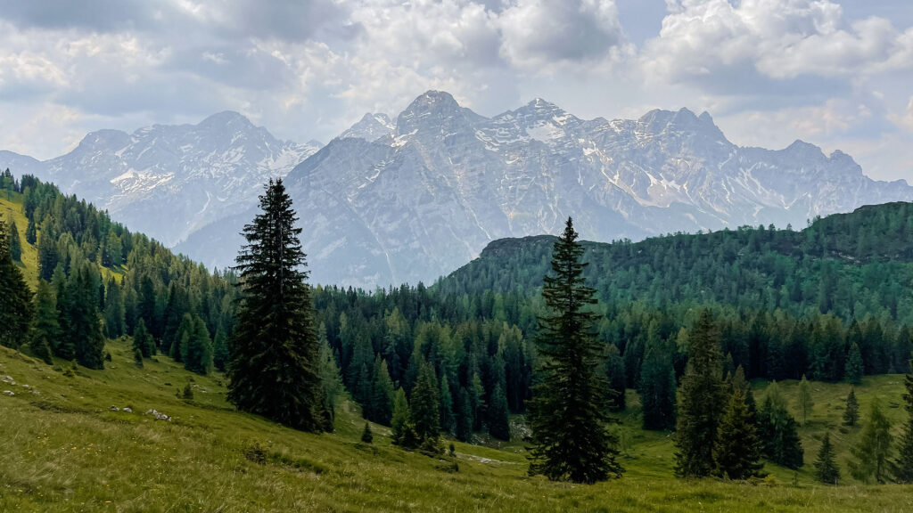 Blick auf dem weg Weg bergab vom Grubhörndl