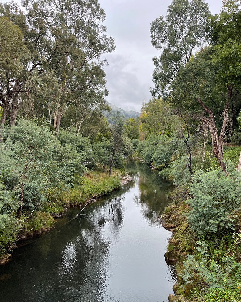 Bright Canyon Walk