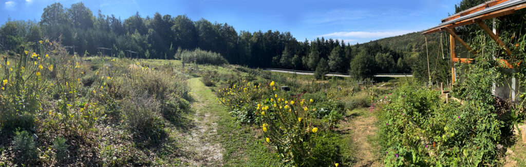 Falkensteiner Stegersbach Permakulturgarten