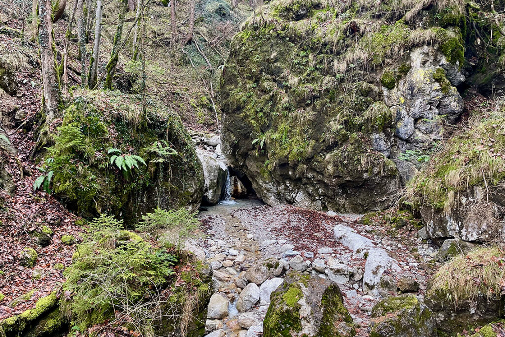 Heimgarten Trail Kaltwasserlaine