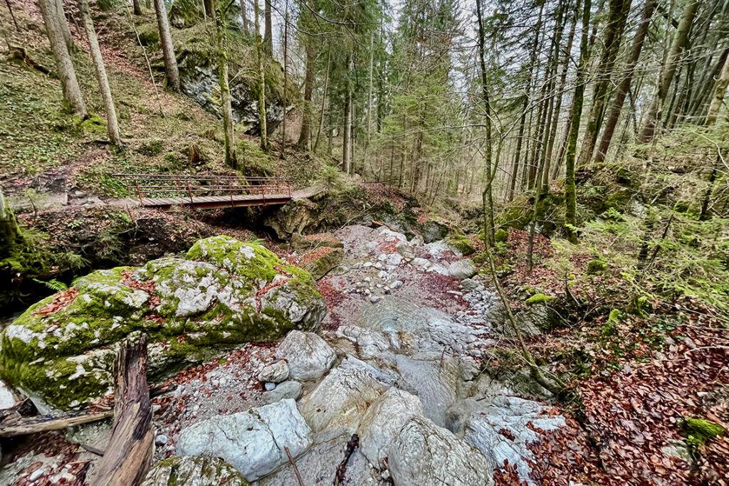 Heimgarten Trail Kaltwasserlaine